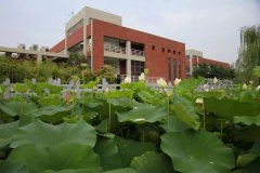 陕西科技大学校园风景（四）